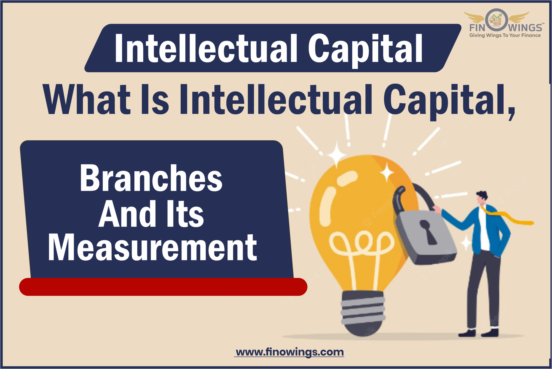 Intellectual Capital - What Is Intellectual Capital, Branches and Its Measurement